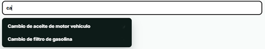 Lista personalizada de servicios frecuentes en Vigematic